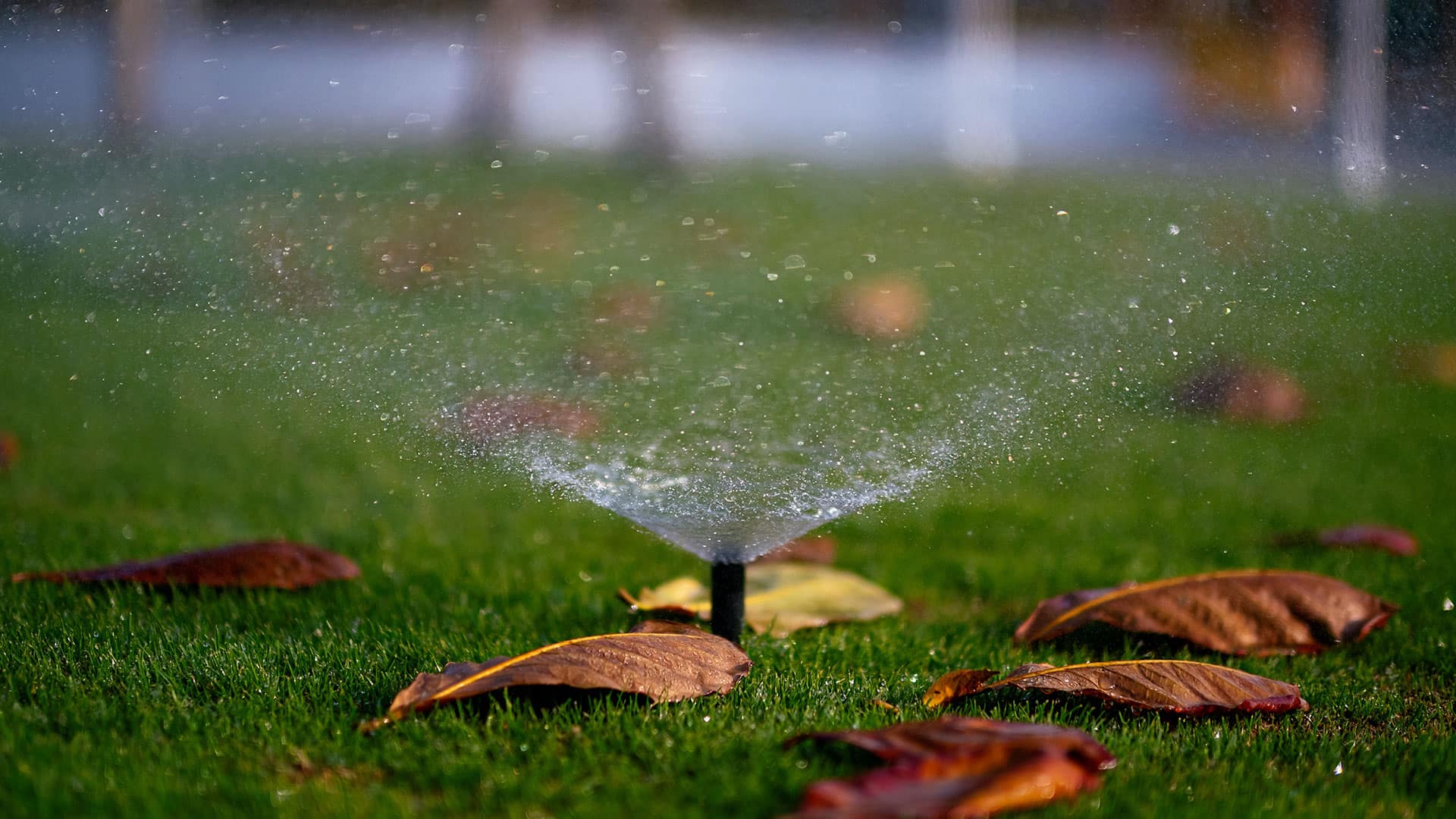 Lawn Sprinkler System Company Southern Florida