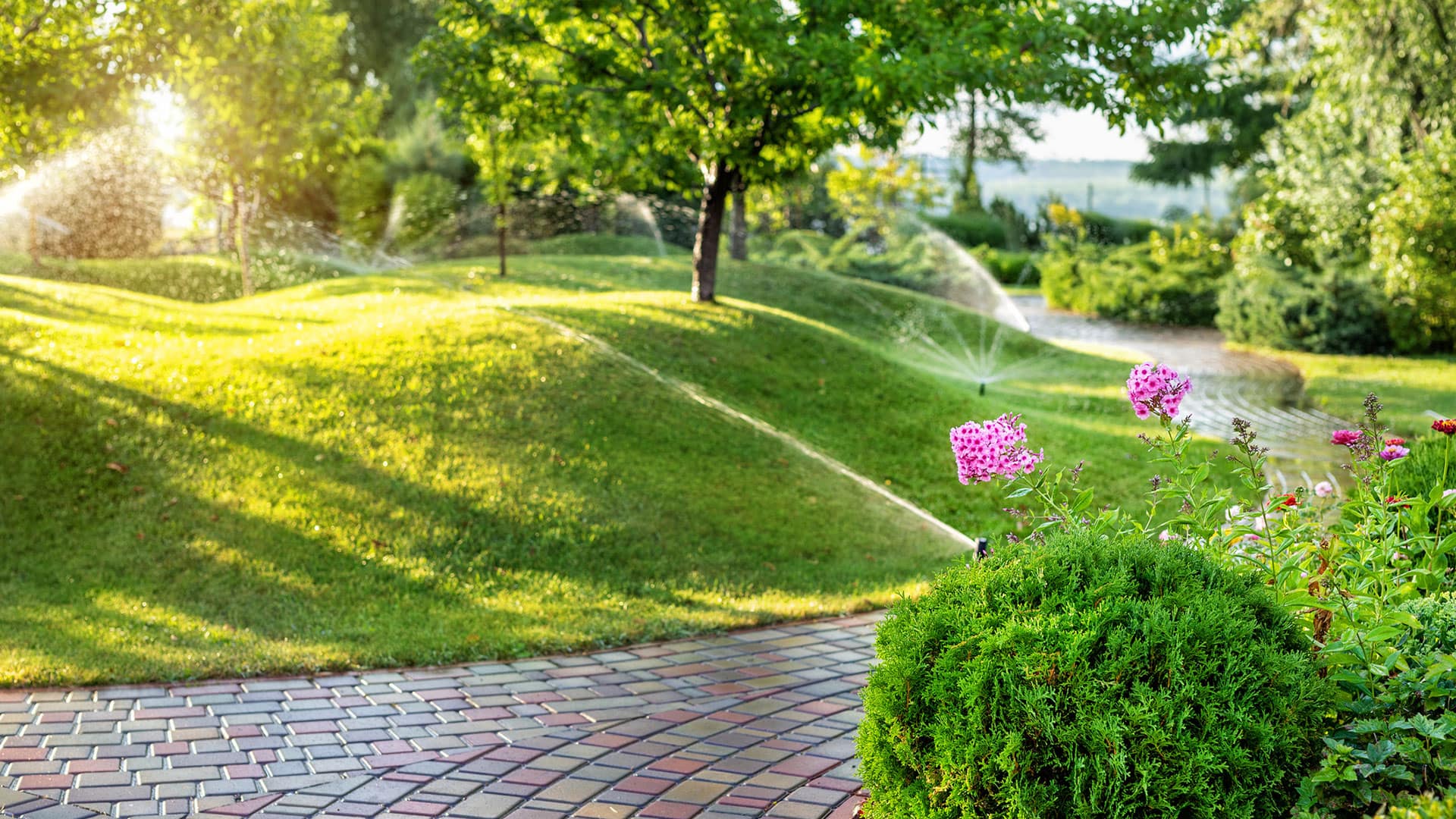 Looking to Build a Smart Yard? You Should Know About Rachio.