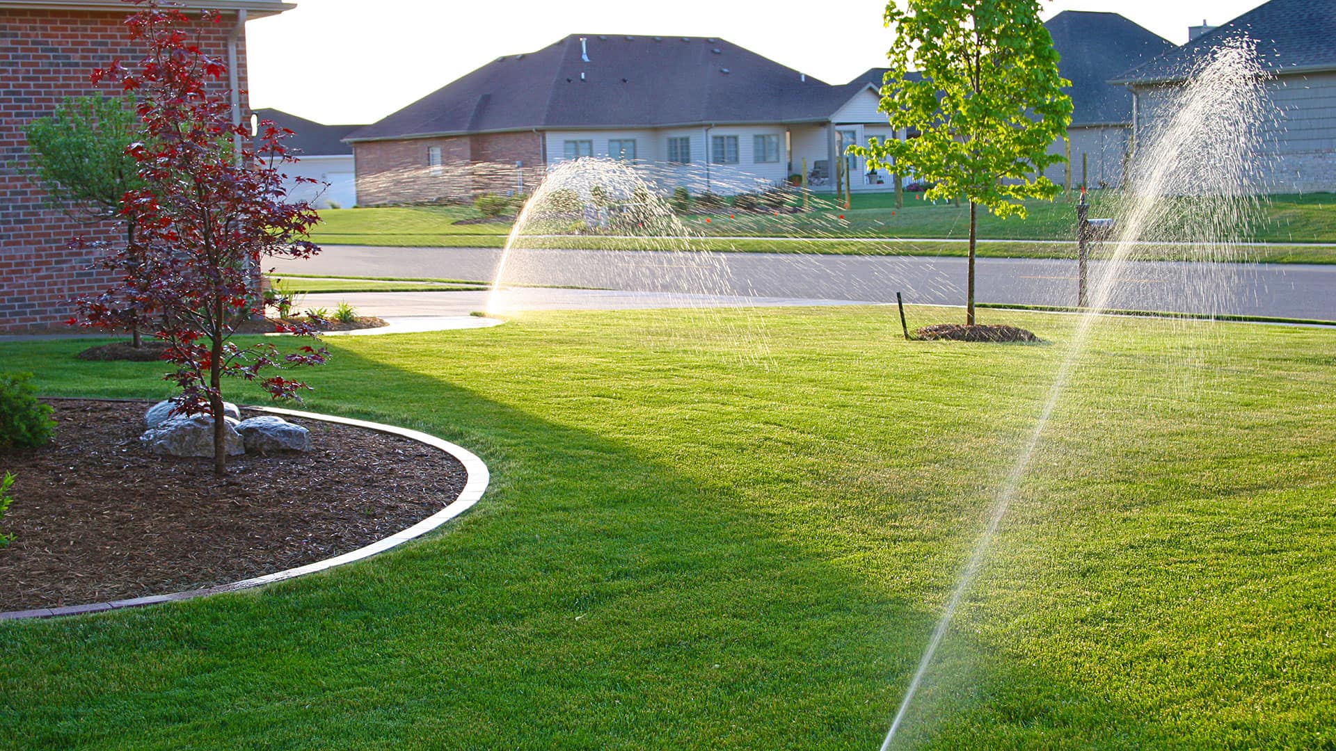 Smart Sprinkler Systems: The Ultimate Guide to Saving Water and Money