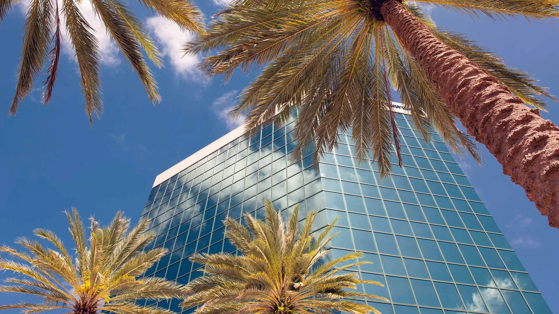 Commercial Irrigation Companies Near Me